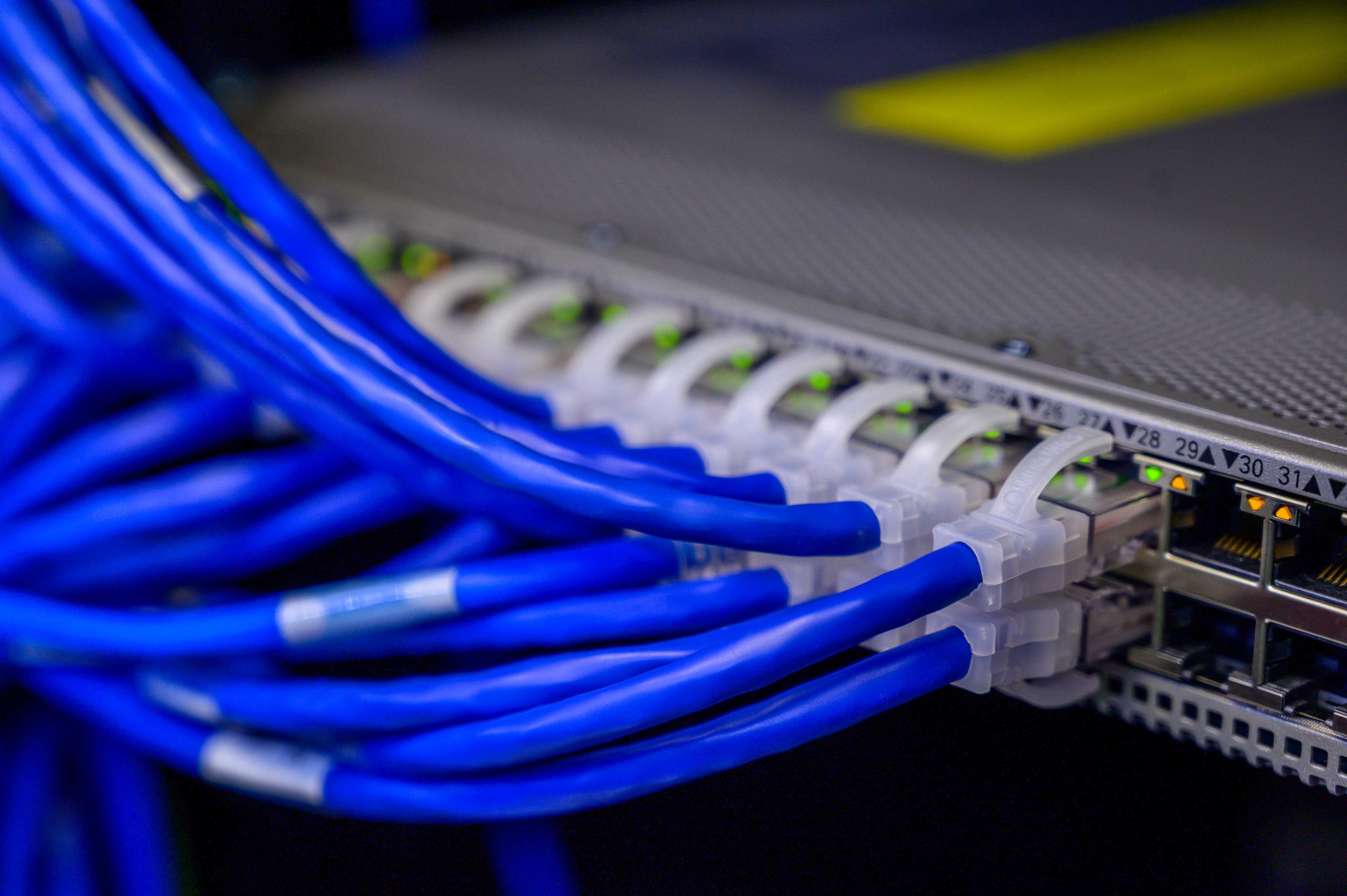 juniper network switch with blue patch cables.